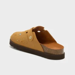 beatriz clog