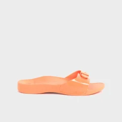 scholl sun
