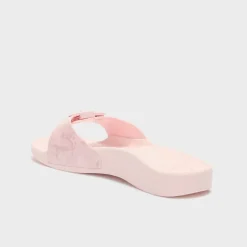 scholl sun